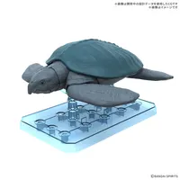 プラノサウルス アーケロン